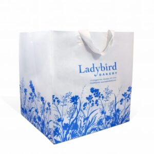 small plastic bags, large plastic bags, small plastic bags with handles, large plastic bags with handles, plastic shopping bags, reusable plastic shopping bags, plastic bags, degradable plastic bags, clear plastic shopping bags, HDPE, LDPE, sustainable plastic bags, custom plastic bags, eco-friendly plastic, clear plastic, custom printed plastic shopping bags