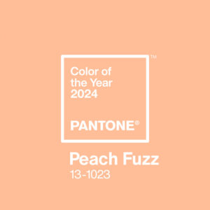 peach fuzz, pantone, pantone 2024, pantone color of the year, pantone color of the year 2024, peach fuzz in packaging, pantone color institute, 2024 color palettes, trending color palettes