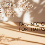 Fall Hues & Happy Feasts: Prime Line’s Guide to Thanksgiving Packaging