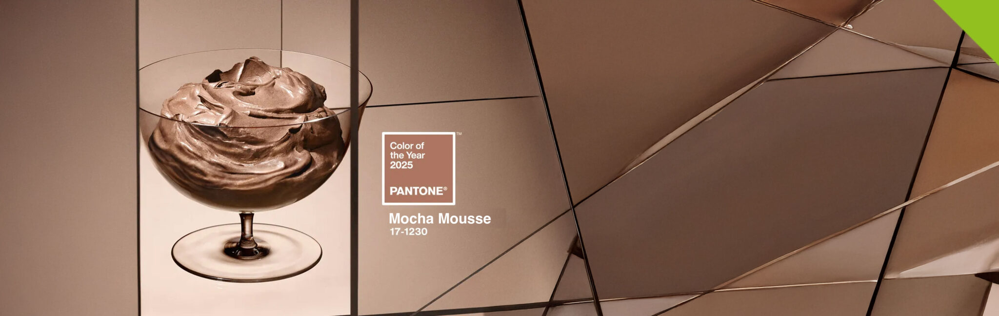 Mocha Mousse Pantone’s 2025 Color of the Year